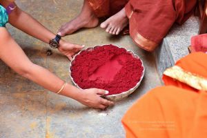 20161109 Photo 153 1eYHO3bfpKpx6rSl5qZUZ29zD9xEE3jmh.jpg