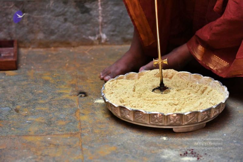 File:20161109 Photo 177 1qQyKnUeYHdOzbfHeLKJMIlhvQzs0Oaan.jpg