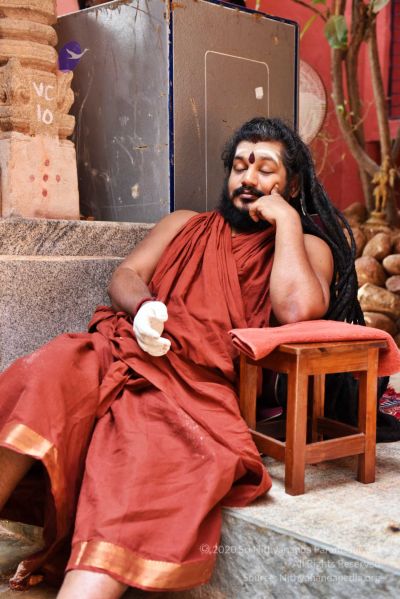 File:20161109 Photo 282 1Vm2-ACPziXGIM3rEE LzXq0RVFd7Ix2g.jpg