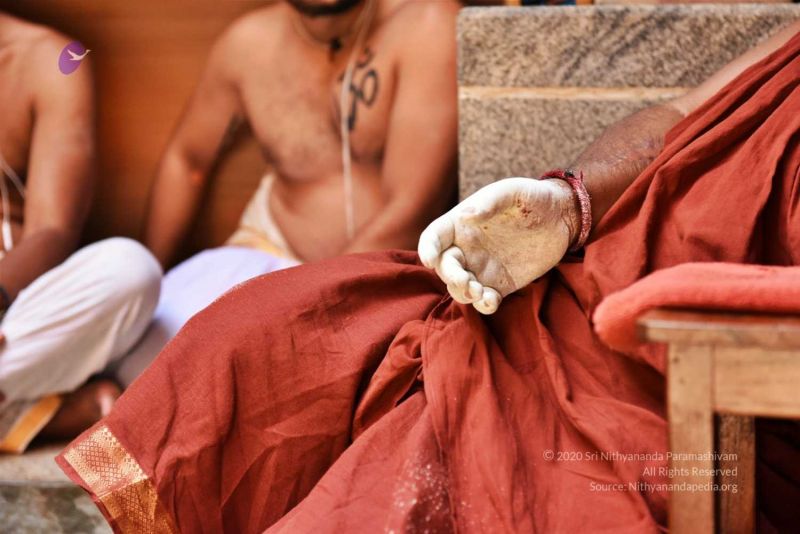 File:20161109 Photo 290 1QrQlGD2PnbNw0Koqbb0BmMHTS4hSyz2U.jpg