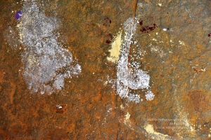 20161109 Photo 292 1ZX1A7ddYLp MHMebnnZ1 docZwxUWdpW.jpg