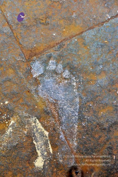 File:20161109 Photo 297 11V28Xe926Dcth95ESjAR0sgUspiK Xss.jpg