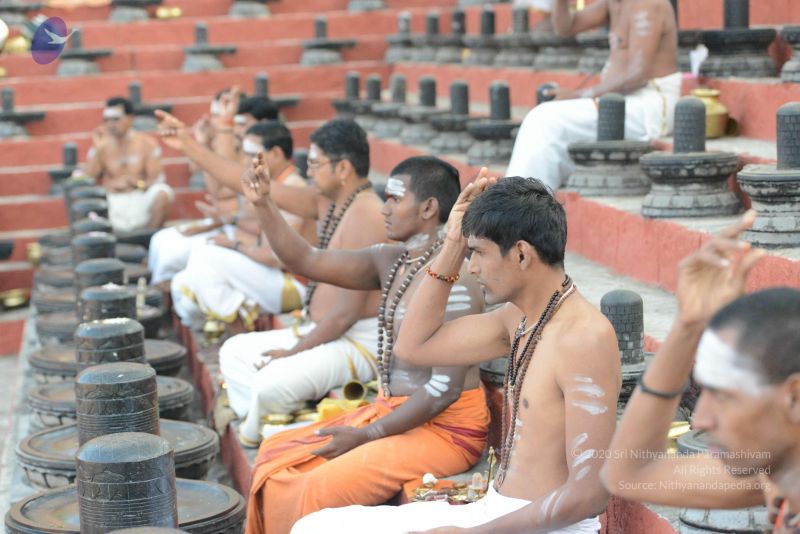 File:20161111 Photo 1017 19GW4KpayckDUR7Fo8TGN7yKmQCEVsThS.JPG