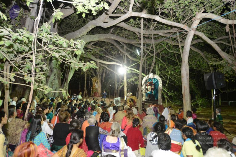 File:20161111 Photo 1024 1MnsOgpiyP84jW7gKKp4wZB2DT1RA9Bx .JPG