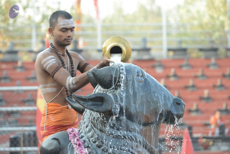 File:20161111 Photo 1025 11JVpXQc3ldBpTZIEKgm 0Vx0Rg2txuZf.JPG