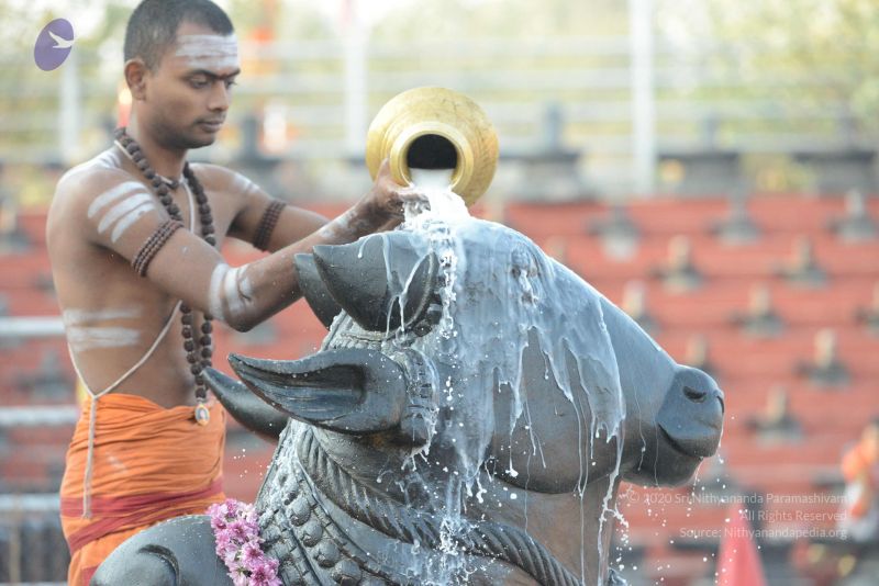 File:20161111 Photo 1027 1jJRMm BwdNlzmlQatJ-o3op-O3KFAErd.JPG