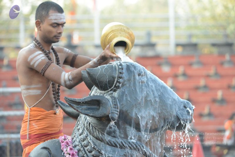 File:20161111 Photo 1028 1KVXQBpwU2PTWmrPL5Qq8ALyNbpiUR-X7.JPG