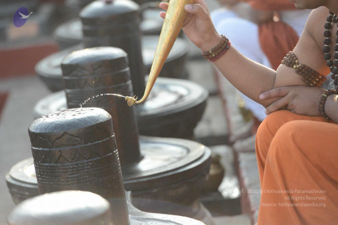 20161111 Photo 1044 1txfkmylM7turW P8WF9MgCb7e2gJUef9.JPG