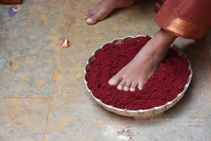 20161111 Photo 1049 1tOdDHqtdJdT9v6IXCXF6cVsYfeQiRy2z.JPG