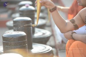 20161111 Photo 1050 1e1NME-6TLPnNQGbiU1uZa0IwYNbC0Cu5.JPG