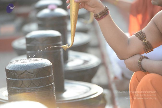 20161111 Photo 1051 12B60N8gMHFltjIZI- YjFAFUE8fk4JP .JPG