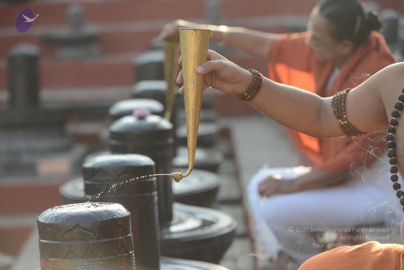 File:20161111 Photo 1057 19dyFlv2Bs4H6PGMVpXzZV 33JInx 3ic.JPG