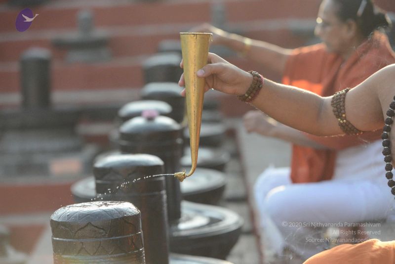 File:20161111 Photo 1058 1TCr0Nav90BDt3hSkCh5wCcSfNxKZf-1X.JPG