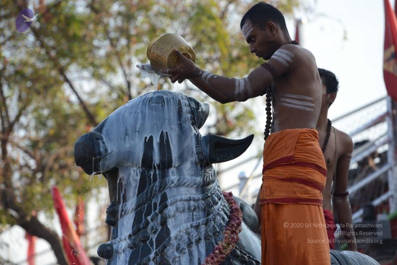 File:20161111 Photo 1064 1kEsroJYBwe2eZVHf9h0w0pAVQm8fxYz .JPG