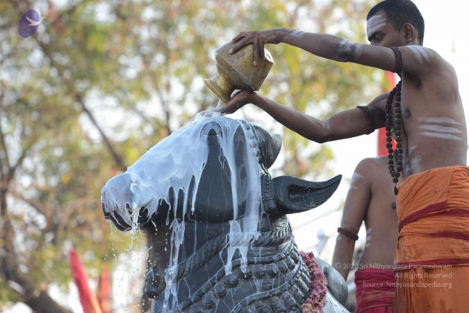 20161111 Photo 1069 101ZQ8BSf-h-53W6SdZ545 CshryRx8Wk.JPG