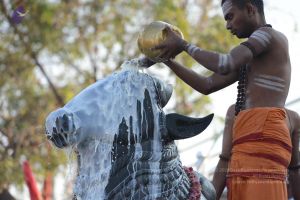 20161111 Photo 1074 1lv5TxqT DDSGFxhNKaQCvo4GAZiDk4zT.JPG