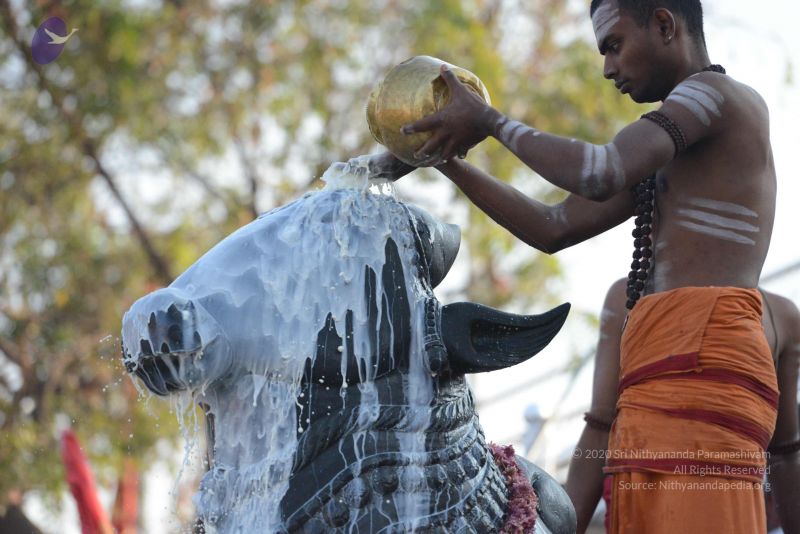 File:20161111 Photo 1074 1lv5TxqT DDSGFxhNKaQCvo4GAZiDk4zT.JPG