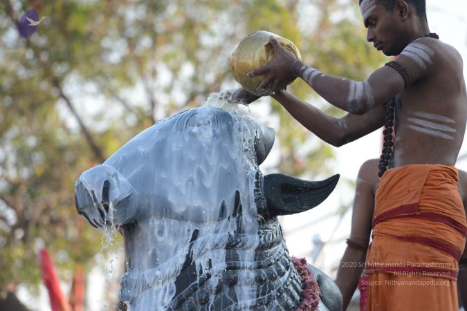 20161111 Photo 1075 1INWAMwNx6Cg-6QcAQfpVQhrK9Pr poMW.JPG