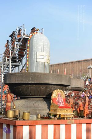 20161111 Photo 1078 1D203V87QehfNCD3Uh7ZSOgntOHoV9wiV.JPG