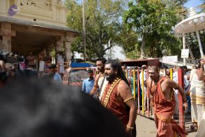 20161111 Photo 1098 1mbKM4SCwBHhWO0SNmY-Eep7ybjCYOXHl.JPG