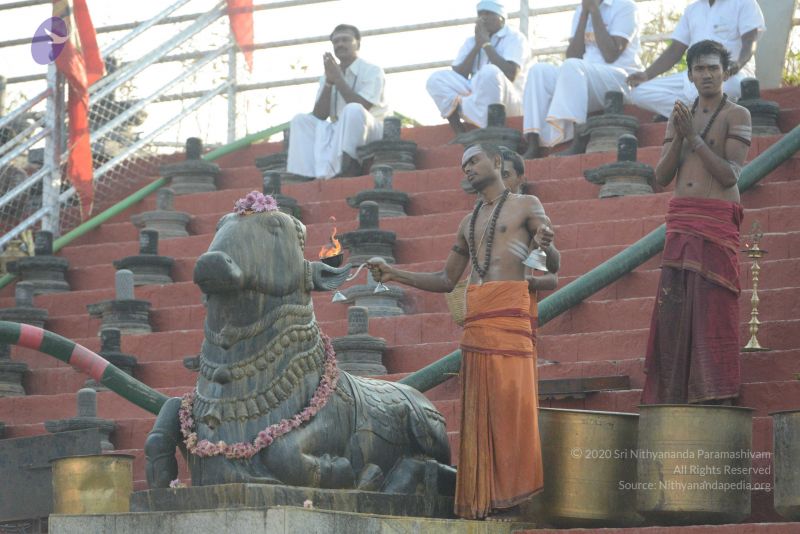 File:20161111 Photo 1109 1cI7Sv-WtMQ0yYscE lUklEffDXExqgh7.JPG