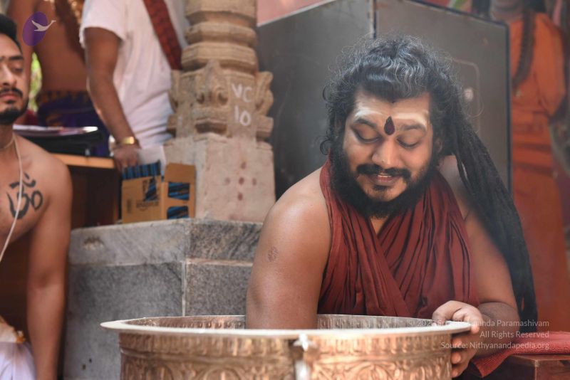 File:20161111 Photo 1172 1grxUl2LmOmLpWoUfCMuPH 7IEIjOLYSD.JPG