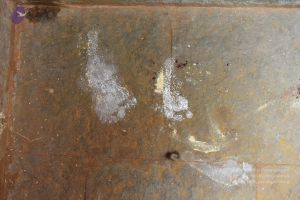 20161111 Photo 1181 1xSFIf8LllIITt1ru-C1P5PNwNTOiBavG.JPG