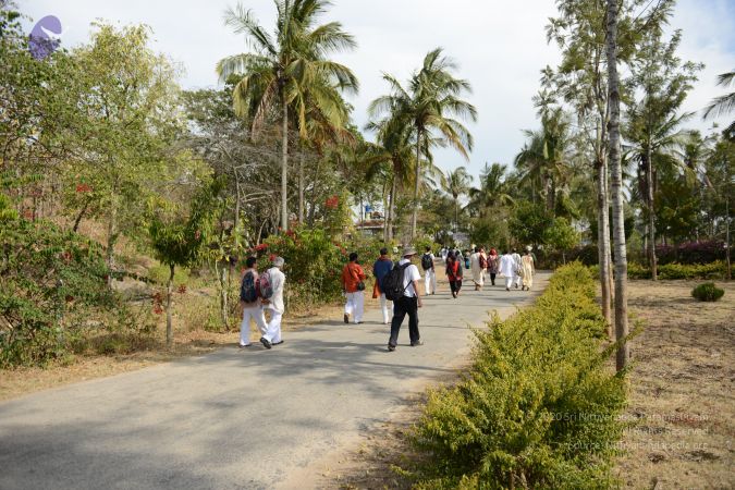 20161111 Photo 1204 1d6SEqDhlpGBqDf1QWhWwBALeEc1t6Lrw.JPG