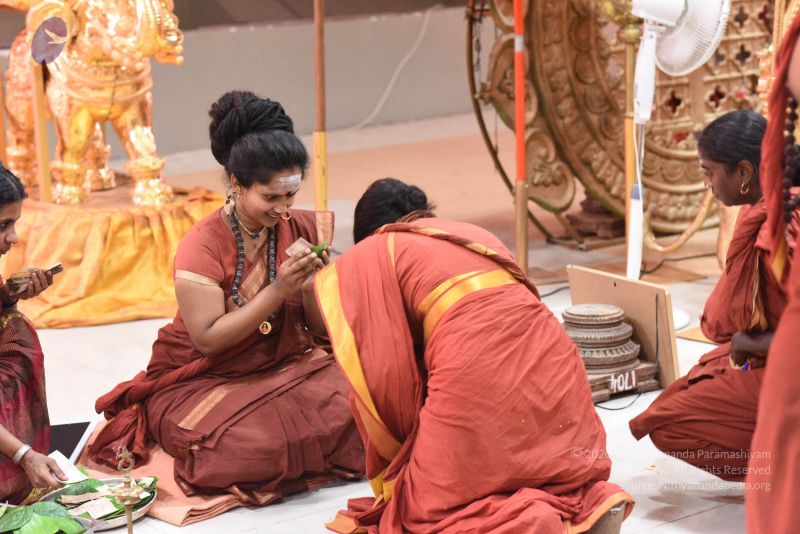 File:20161111 Photo 1251 1g5Lr5IbL9T2gAGPPvVSJDA3mkhE2DznL.JPG