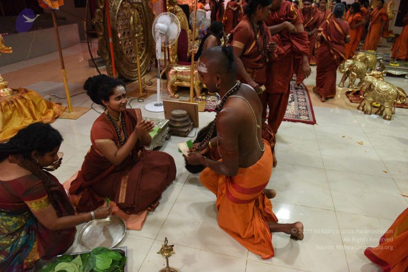 File:20161111 Photo 1259 1fOfaU4lEIre6Fv3PBFMtUYJzTnVlI0Lu.JPG