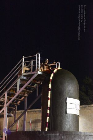 20161114 Photo 1007 1jF84HtYNrUJldjj5rM2l2n-jhSS J-Sq.JPG