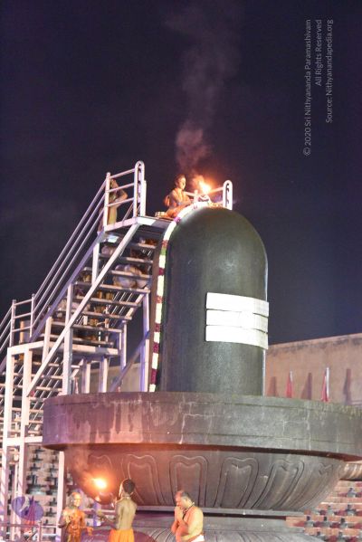 File:20161114 Photo 1013 1NB85jgPgJhHwp88tQMHodbgOLmzl0eXX.JPG