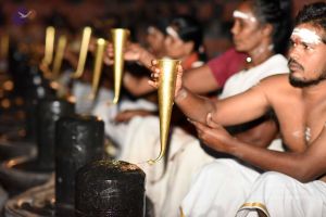 20161114 Photo 1014 1oXs0tCSPuusL5ezm3Ft6GNP9RpFbgl-w.JPG