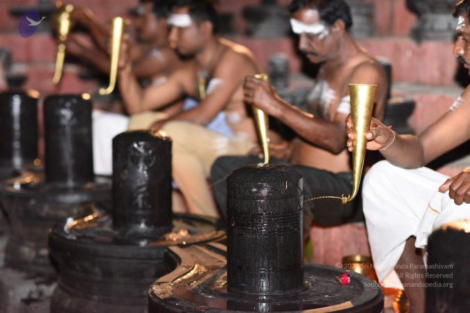 20161114 Photo 1018 1v6yIfh0YMQT3yd1OKcHJHQ9UE3hUNPIh.JPG