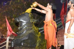 20161114 Photo 1021 18Rw5RfK8hEBLhF86NA-RzHN2Yx8k5ujI.JPG