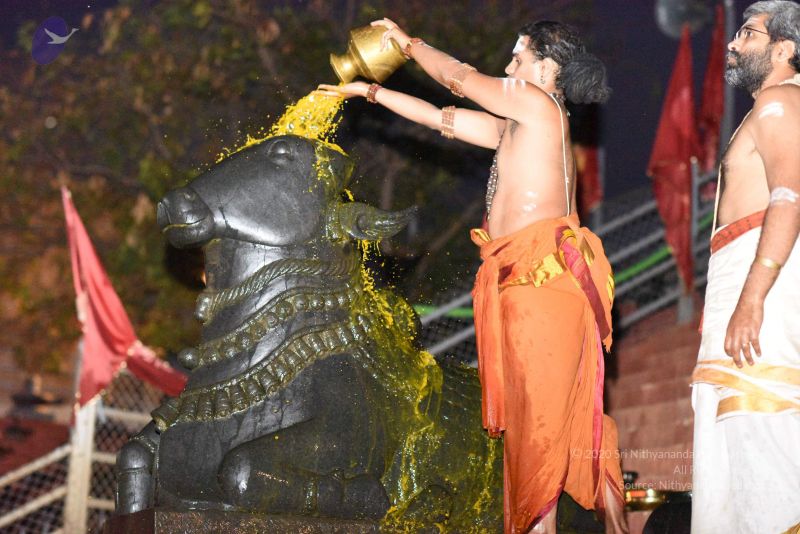 File:20161114 Photo 1021 18Rw5RfK8hEBLhF86NA-RzHN2Yx8k5ujI.JPG