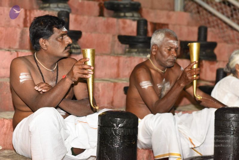 File:20161114 Photo 1027 1KkmuvwN4CFQJCM2ocTaGhrRZB49ieF6h.JPG