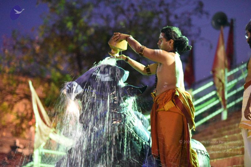 File:20161114 Photo 1032 17PNvtwHZzbi1wLomzg0BOrTPi3txXWNo.JPG