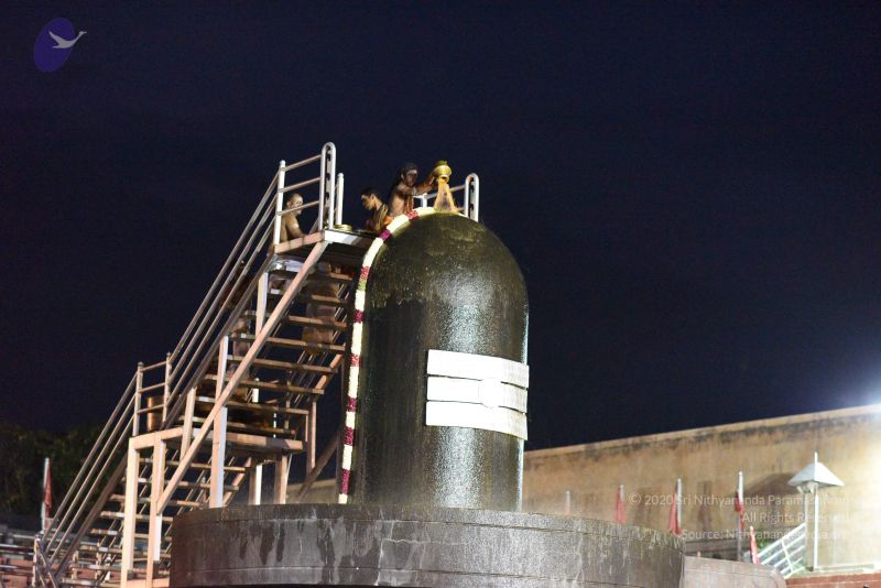 File:20161114 Photo 1032 1LtW GBHxd0XyhMy2-fRmN6qbUz2H-SPD.JPG