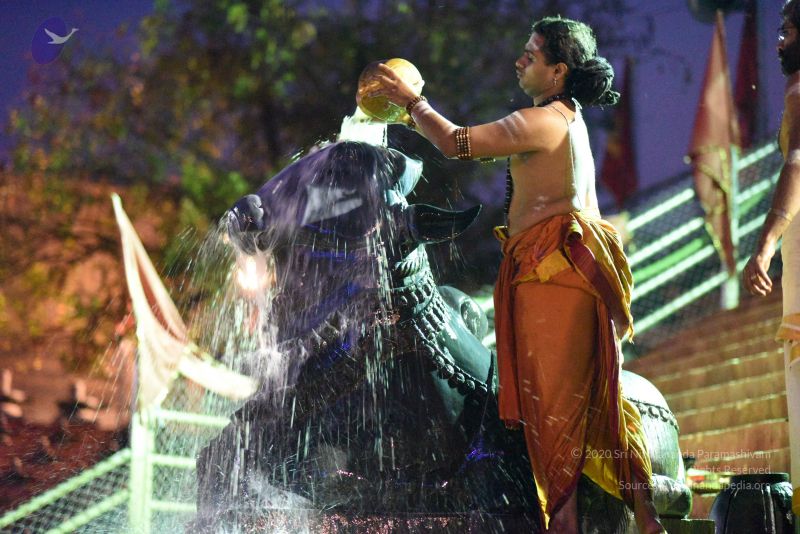 File:20161114 Photo 1035 1PSX51MNL71ntpvGtoLaXwd4pTakSSZin.JPG