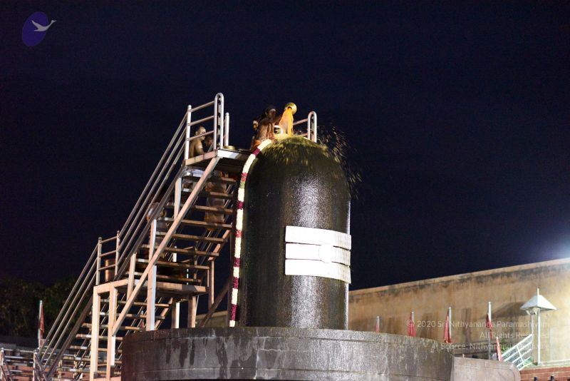 File:20161114 Photo 1052 1qn7MQDP4cdCuk4juBNez4pSgm7L wIIn.JPG