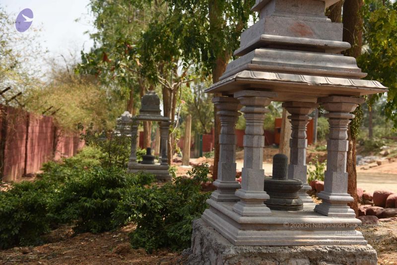 File:20161118 Photo 1043 18pNUslXQlFBzqq71rWEPcwt7fvMGRuXp.JPG