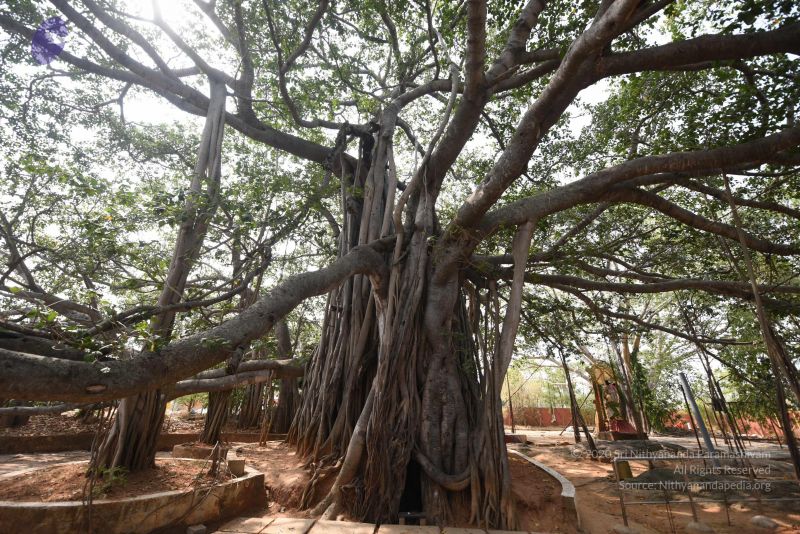 File:20161118 Photo 1056 1y2Z2kyWQF6A40Eys5krhFE4k7tiviK9g.JPG