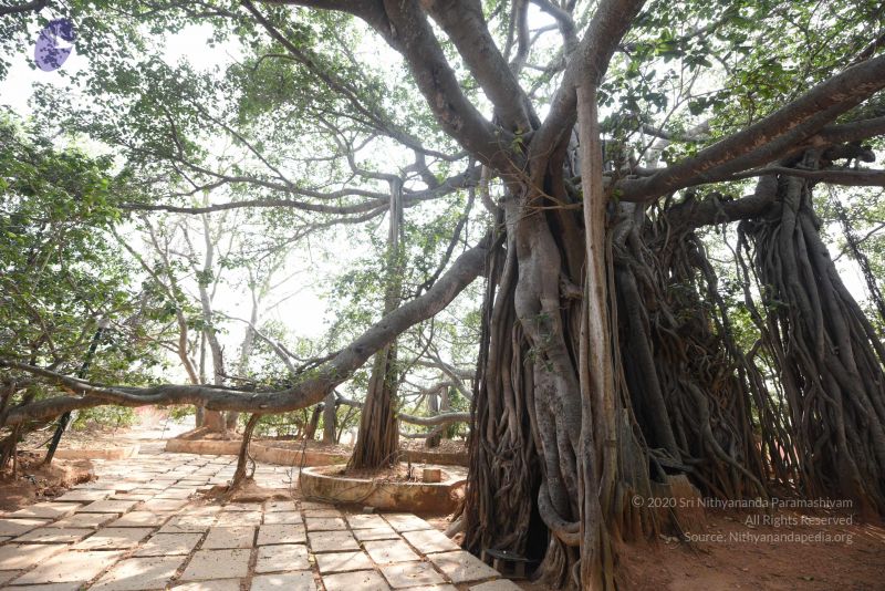 File:20161118 Photo 1058 1HW2hPsJbGrRhUdrzacy47dwDzKban5Ma.JPG