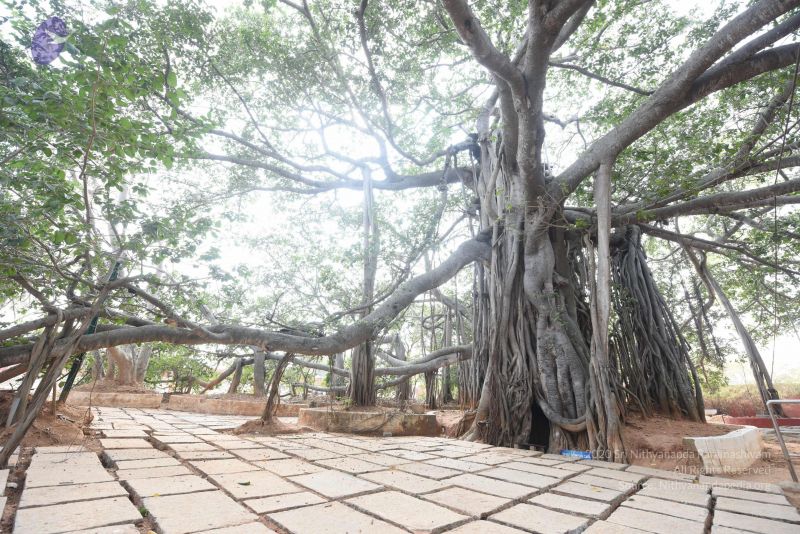 File:20161118 Photo 1060 1D7jWY--3B1 II8XDAERY53OKRLfyUWUl.JPG