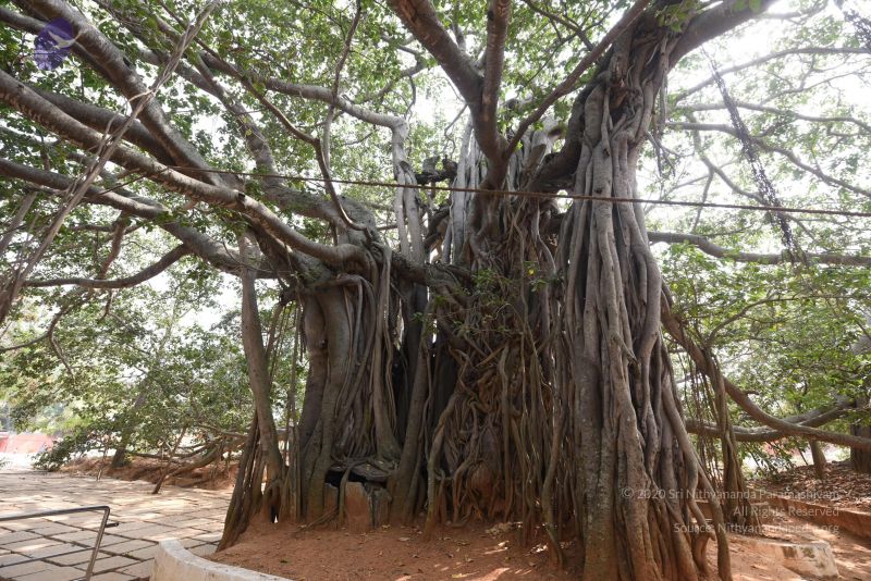 File:20161118 Photo 1062 1YQG3 Tl8IRrxHJhJCrtclNz0C6X-huTD.JPG