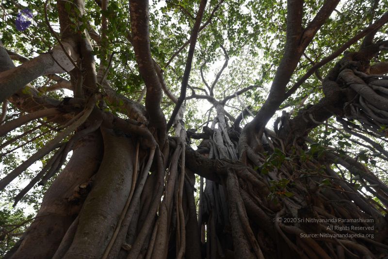 File:20161118 Photo 1066 1udoWmol8fOXJ82wNqpvsba-zvR-oU1HX.JPG