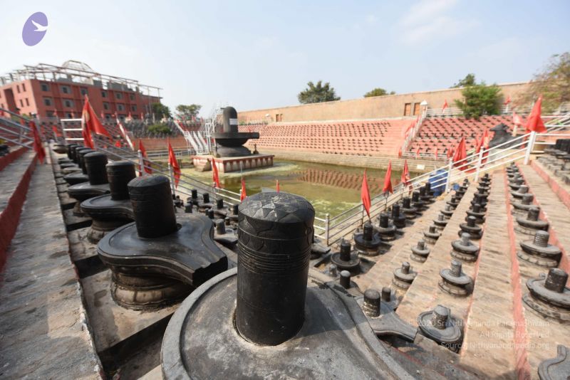 File:20161118 Photo 1079 1fkb5kgWo53VQVpmIMNvxoPqq8NgcNkyl.JPG