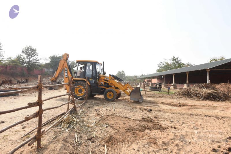 File:20161118 Photo 1096 1HGZsWX5qcpT6JGnm7 J8hpNQReL58A-Y.JPG