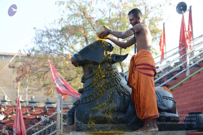 20161122 Photo 1051 18Y8jAOK8bzNd6ZcTC2rrCXiuJ4uQD-c1.JPG